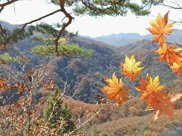 蜂蜜盐水（蜂蜜盐水能不能一起喝）